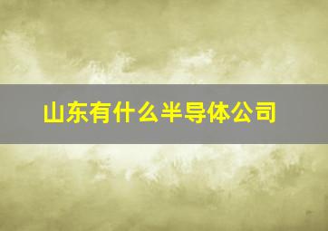 山东有什么半导体公司