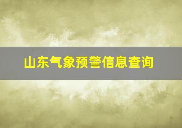 山东气象预警信息查询