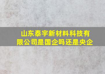 山东泰宇新材料科技有限公司是国企吗还是央企