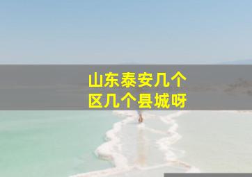 山东泰安几个区几个县城呀