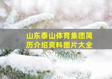 山东泰山体育集团简历介绍资料图片大全