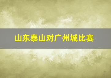 山东泰山对广州城比赛