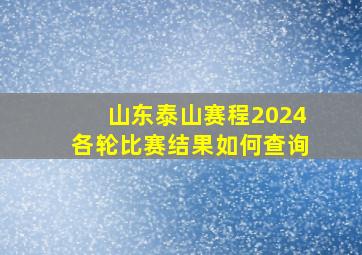 山东泰山赛程2024各轮比赛结果如何查询