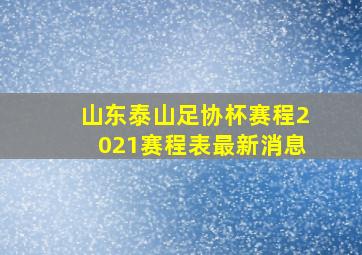 山东泰山足协杯赛程2021赛程表最新消息