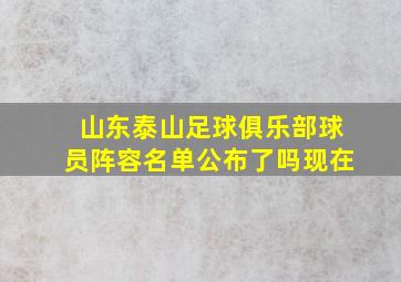 山东泰山足球俱乐部球员阵容名单公布了吗现在