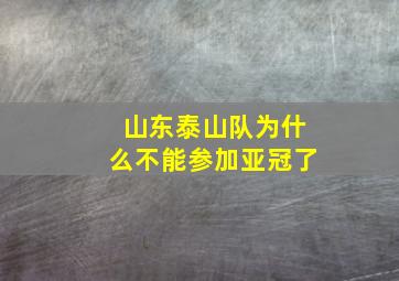 山东泰山队为什么不能参加亚冠了