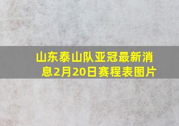 山东泰山队亚冠最新消息2月20日赛程表图片