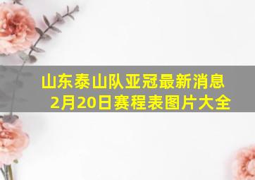 山东泰山队亚冠最新消息2月20日赛程表图片大全