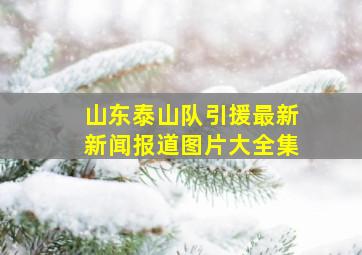 山东泰山队引援最新新闻报道图片大全集