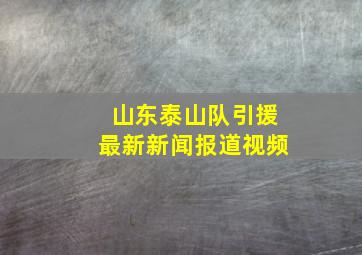 山东泰山队引援最新新闻报道视频