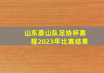 山东泰山队足协杯赛程2023年比赛结果