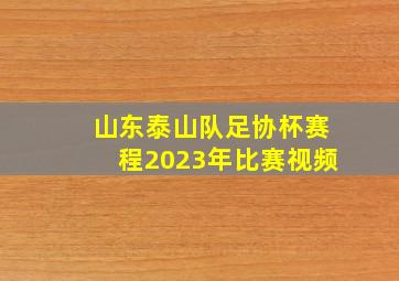 山东泰山队足协杯赛程2023年比赛视频