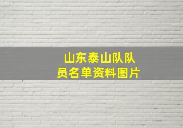 山东泰山队队员名单资料图片