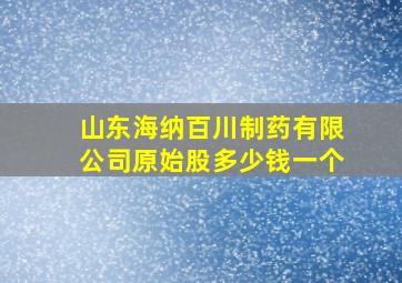 山东海纳百川制药有限公司原始股多少钱一个