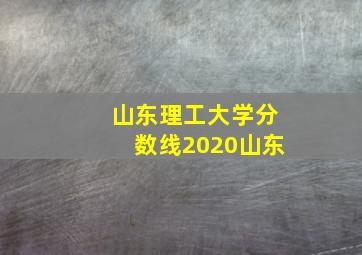 山东理工大学分数线2020山东