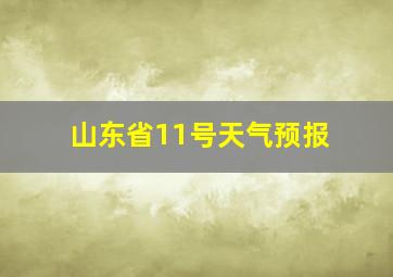 山东省11号天气预报