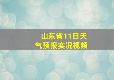 山东省11日天气预报实况视频