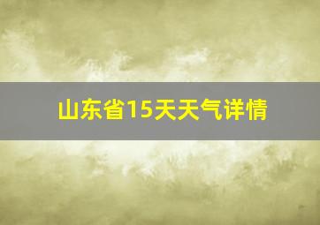 山东省15天天气详情