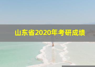 山东省2020年考研成绩