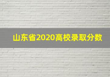 山东省2020高校录取分数