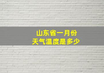 山东省一月份天气温度是多少