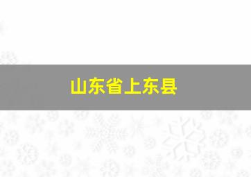 山东省上东县