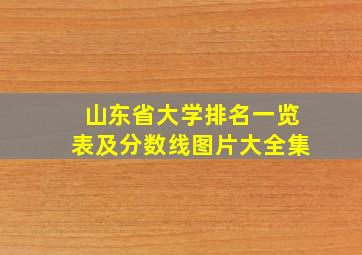 山东省大学排名一览表及分数线图片大全集