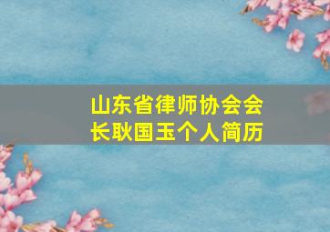 山东省律师协会会长耿国玉个人简历