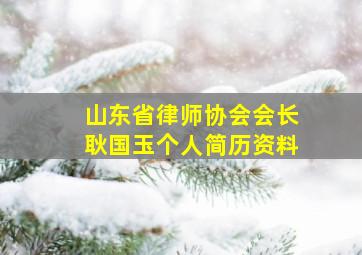 山东省律师协会会长耿国玉个人简历资料