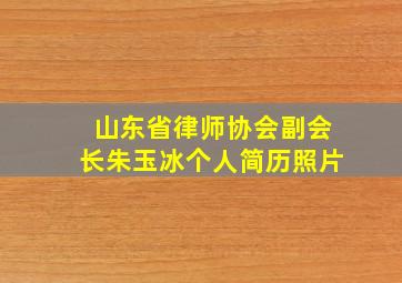 山东省律师协会副会长朱玉冰个人简历照片