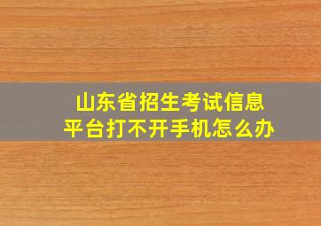 山东省招生考试信息平台打不开手机怎么办