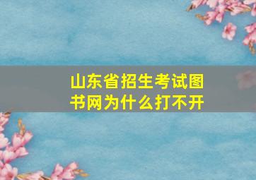 山东省招生考试图书网为什么打不开