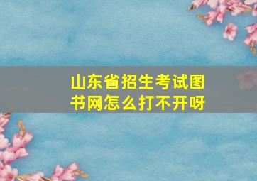 山东省招生考试图书网怎么打不开呀