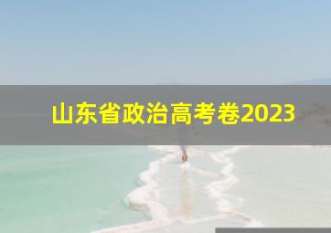 山东省政治高考卷2023