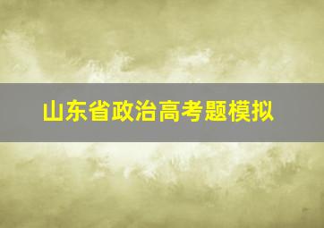 山东省政治高考题模拟