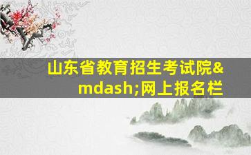 山东省教育招生考试院—网上报名栏