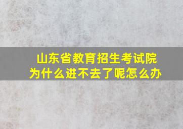 山东省教育招生考试院为什么进不去了呢怎么办