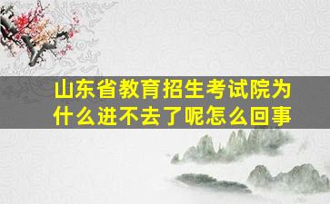 山东省教育招生考试院为什么进不去了呢怎么回事