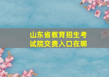 山东省教育招生考试院交费入口在哪