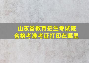 山东省教育招生考试院合格考准考证打印在哪里