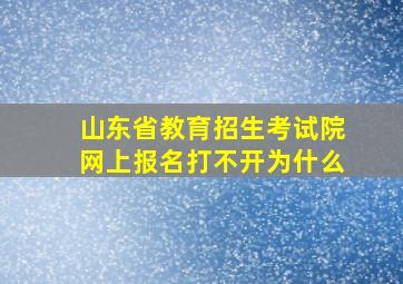 山东省教育招生考试院网上报名打不开为什么