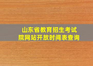 山东省教育招生考试院网站开放时间表查询