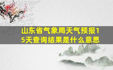 山东省气象局天气预报15天查询结果是什么意思