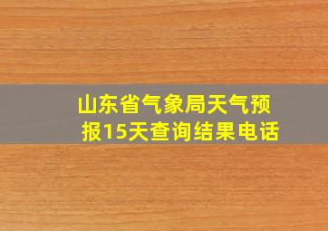 山东省气象局天气预报15天查询结果电话