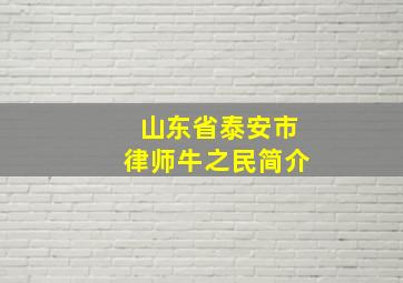 山东省泰安市律师牛之民简介