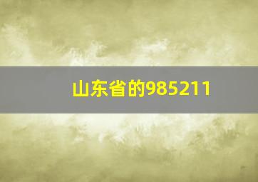 山东省的985211