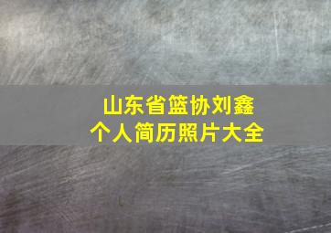 山东省篮协刘鑫个人简历照片大全