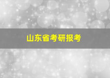 山东省考研报考