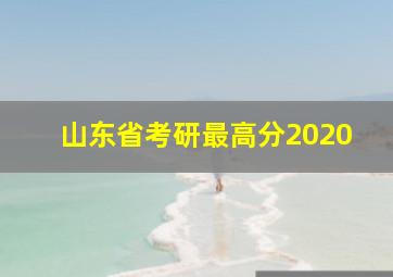 山东省考研最高分2020