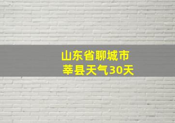 山东省聊城市莘县天气30天